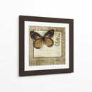 Notas De Mariposa V - Beth Anne Creative | Cuadro decorativo de Canvas Lab