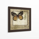 Notas De Mariposa V - Beth Anne Creative | Cuadro decorativo de Canvas Lab