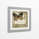 Notas De Mariposa V - Beth Anne Creative | Cuadro decorativo de Canvas Lab