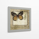 Notas De Mariposa V - Beth Anne Creative | Cuadro decorativo de Canvas Lab