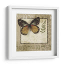 Notas De Mariposa V - Beth Anne Creative | Cuadro decorativo de Canvas Lab