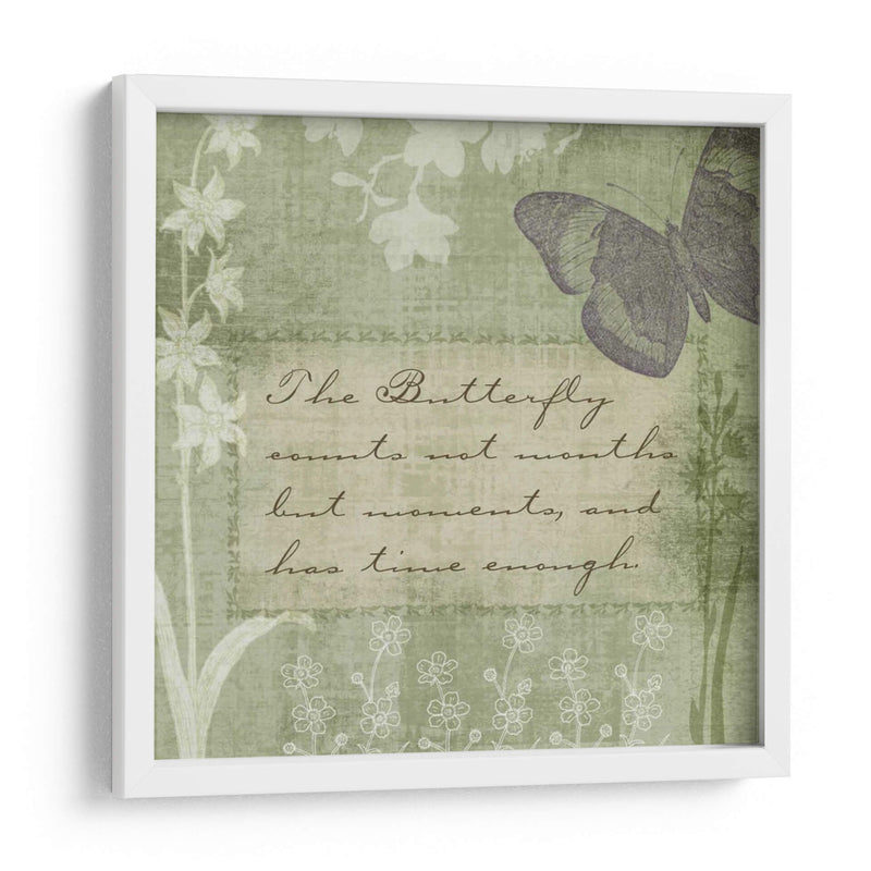 Notas De Mariposa Vii - Beth Anne Creative | Cuadro decorativo de Canvas Lab