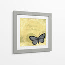 Mariposa Notas Xi - Beth Anne Creative | Cuadro decorativo de Canvas Lab