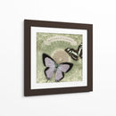 Notas De Mariposa Xii - Beth Anne Creative | Cuadro decorativo de Canvas Lab