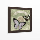 Notas De Mariposa Xii - Beth Anne Creative | Cuadro decorativo de Canvas Lab
