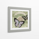Notas De Mariposa Xii - Beth Anne Creative | Cuadro decorativo de Canvas Lab
