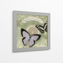 Notas De Mariposa Xii - Beth Anne Creative | Cuadro decorativo de Canvas Lab