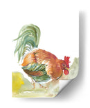 Abajo A Casa Iii - Elissa Della-Piana | Cuadro decorativo de Canvas Lab