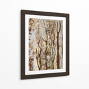 Árbol De Mariposa I - Natalie Avondet | Cuadro decorativo de Canvas Lab
