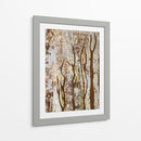 Árbol De Mariposa I - Natalie Avondet | Cuadro decorativo de Canvas Lab