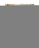 Árbol De Mariposa I - Natalie Avondet | Cuadro decorativo de Canvas Lab