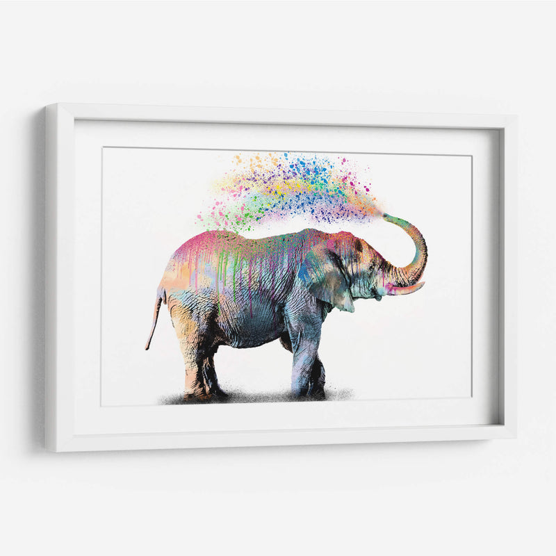 Elephant Color Shower - Hue Art | Cuadro decorativo de Canvas Lab