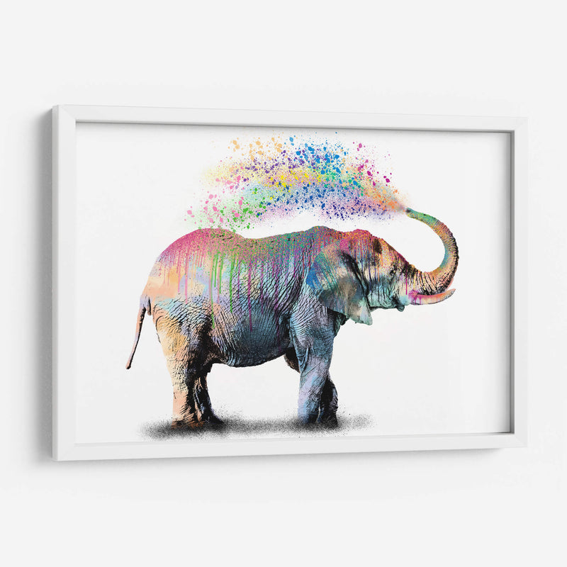 Elephant Color Shower - Hue Art | Cuadro decorativo de Canvas Lab