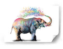 Elephant Color Shower - Hue Art | Cuadro decorativo de Canvas Lab