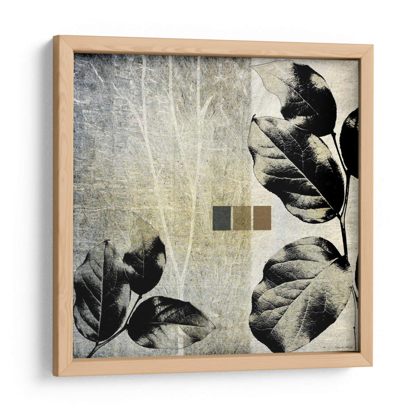 Hojas Y Tallos Ii - Catherine Kohnke | Cuadro decorativo de Canvas Lab