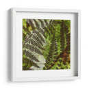 Sombra I - K. Archie | Cuadro decorativo de Canvas Lab