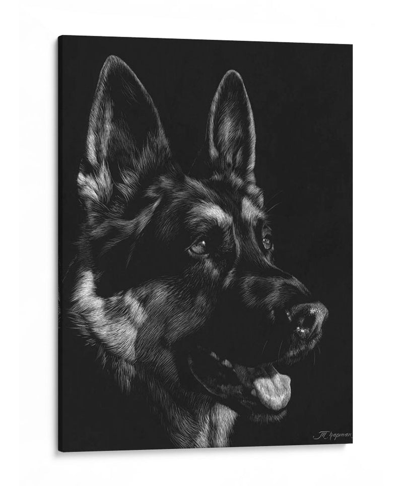 Scratchboard Canino I - Julie T. Chapman | Cuadro decorativo de Canvas Lab