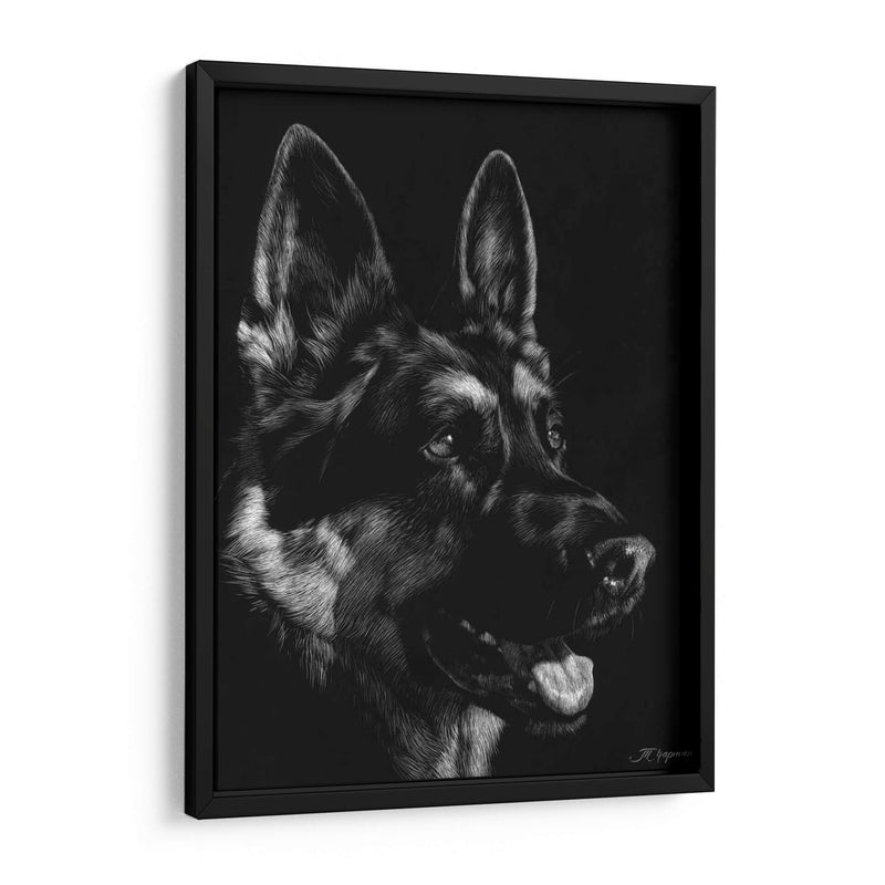 Scratchboard Canino I - Julie T. Chapman | Cuadro decorativo de Canvas Lab