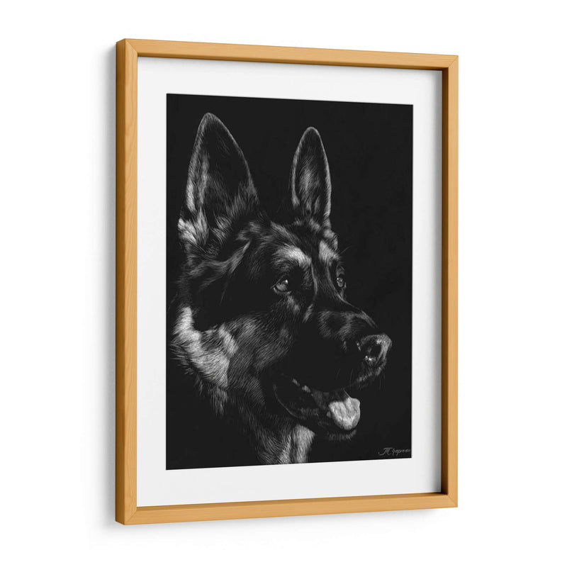 Scratchboard Canino I - Julie T. Chapman | Cuadro decorativo de Canvas Lab