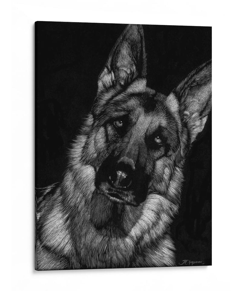 Scratchboard Canino Ii - Julie T. Chapman | Cuadro decorativo de Canvas Lab