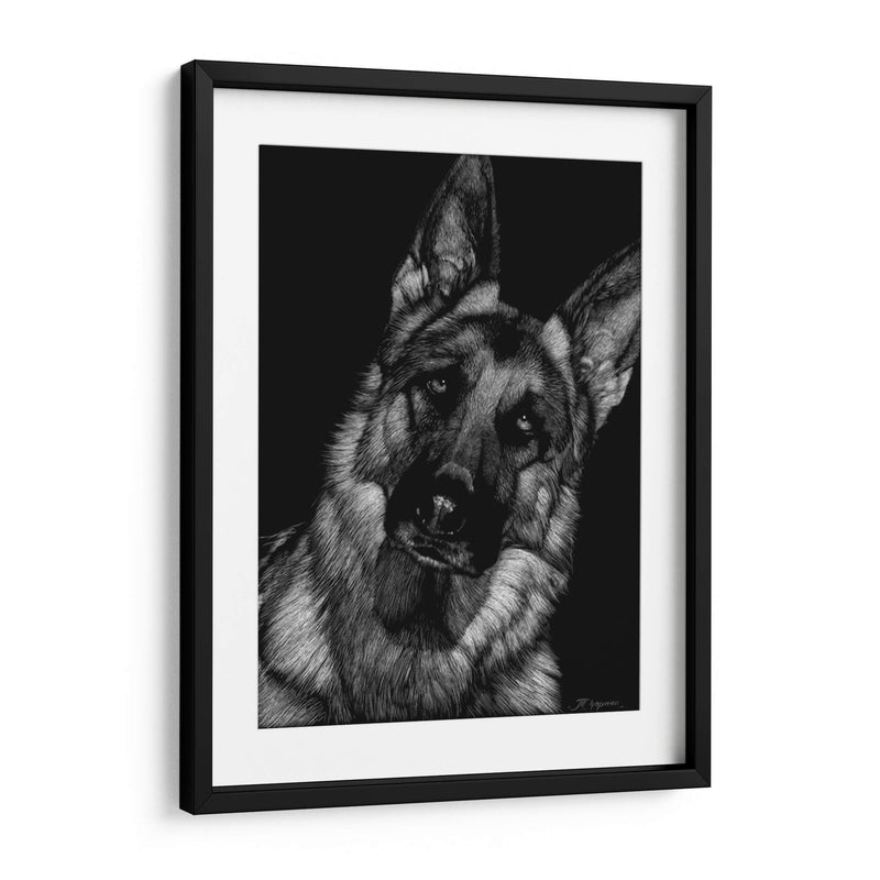 Scratchboard Canino Ii - Julie T. Chapman | Cuadro decorativo de Canvas Lab