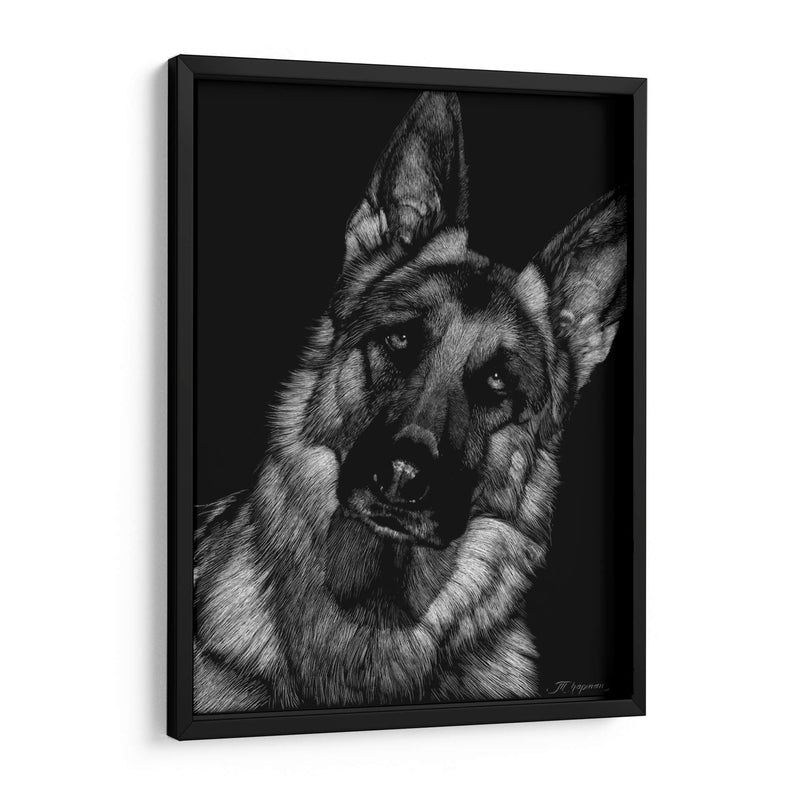 Scratchboard Canino Ii - Julie T. Chapman | Cuadro decorativo de Canvas Lab