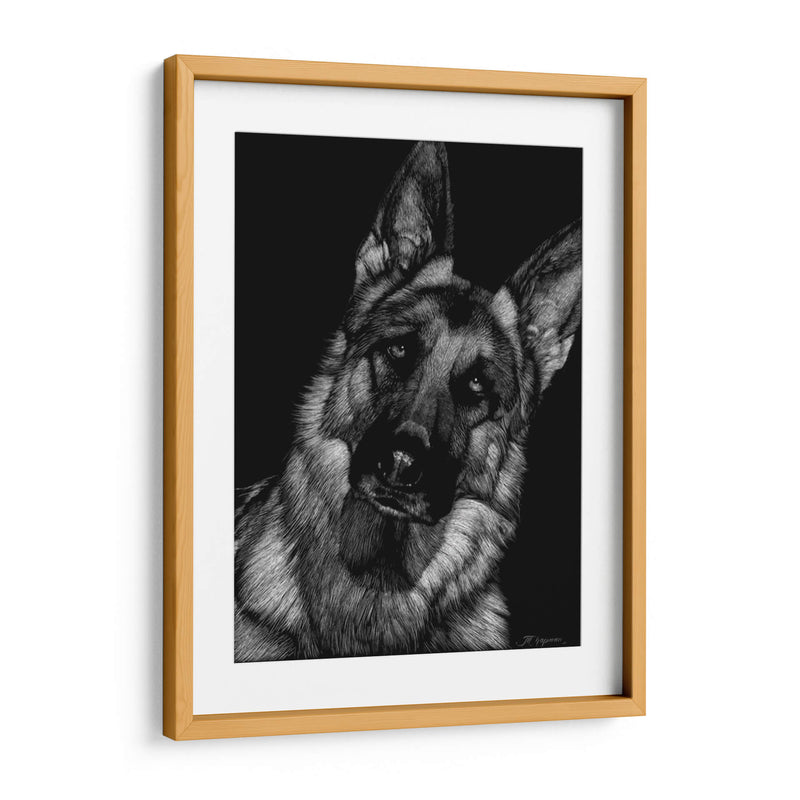 Scratchboard Canino Ii - Julie T. Chapman | Cuadro decorativo de Canvas Lab