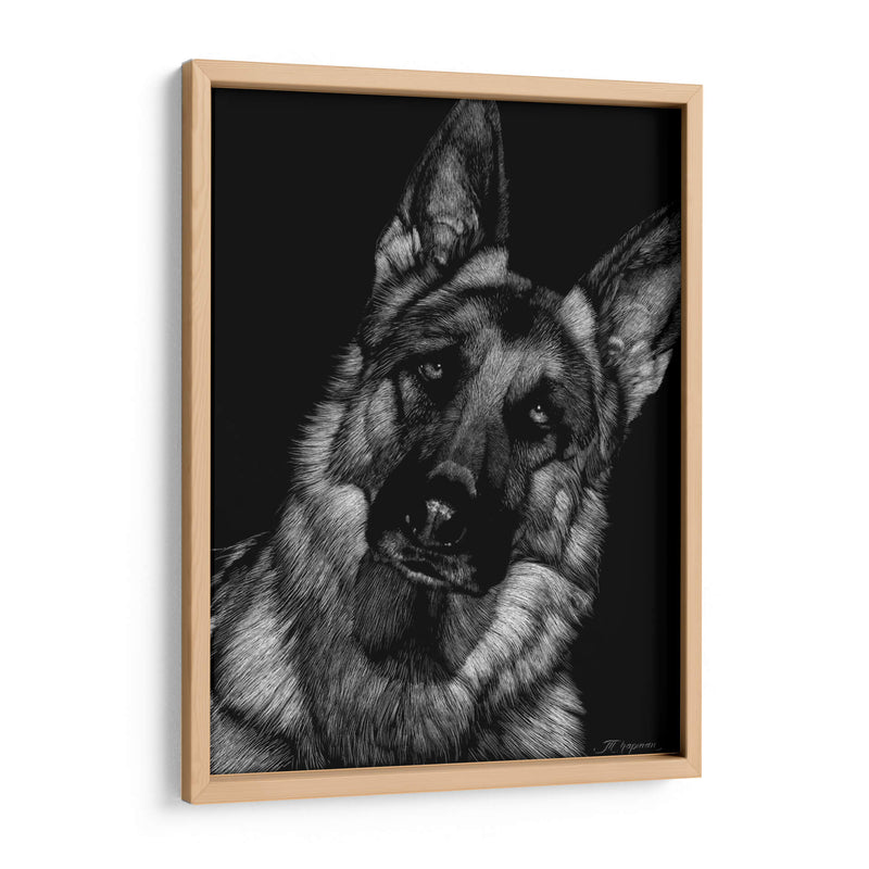 Scratchboard Canino Ii - Julie T. Chapman | Cuadro decorativo de Canvas Lab