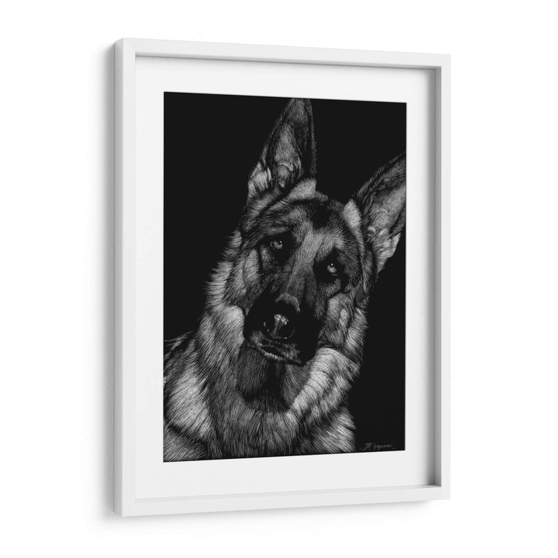 Scratchboard Canino Ii - Julie T. Chapman | Cuadro decorativo de Canvas Lab