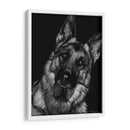 Scratchboard Canino Ii - Julie T. Chapman | Cuadro decorativo de Canvas Lab