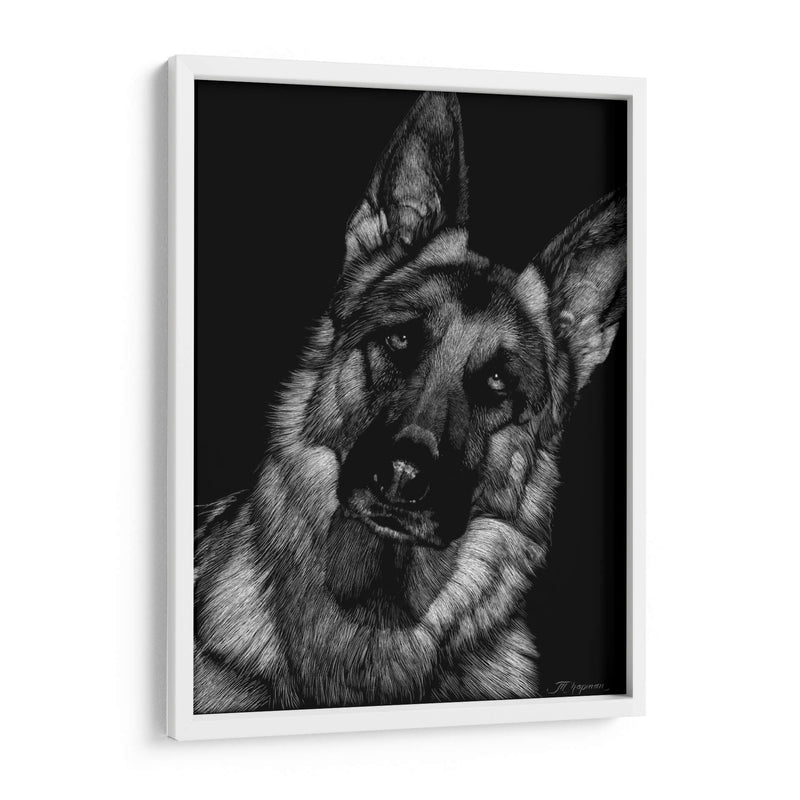 Scratchboard Canino Ii - Julie T. Chapman | Cuadro decorativo de Canvas Lab