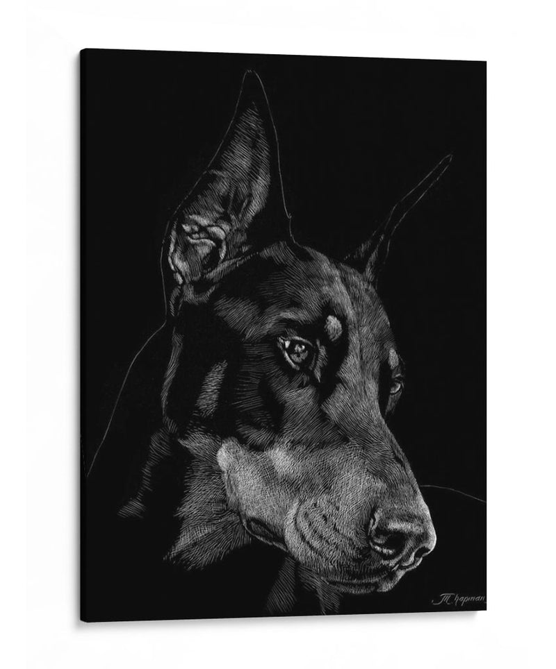 Scratchboard Canino Iii - Julie T. Chapman | Cuadro decorativo de Canvas Lab