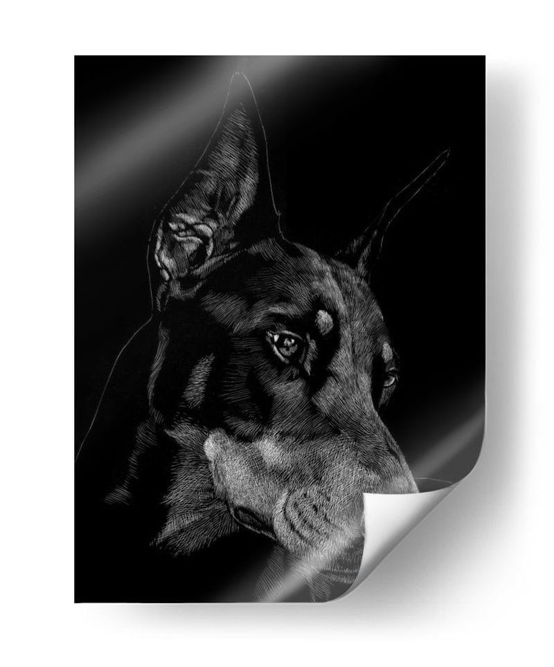 Scratchboard Canino Iii - Julie T. Chapman | Cuadro decorativo de Canvas Lab