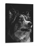Scratchboard Canino Iv - Julie T. Chapman | Cuadro decorativo de Canvas Lab