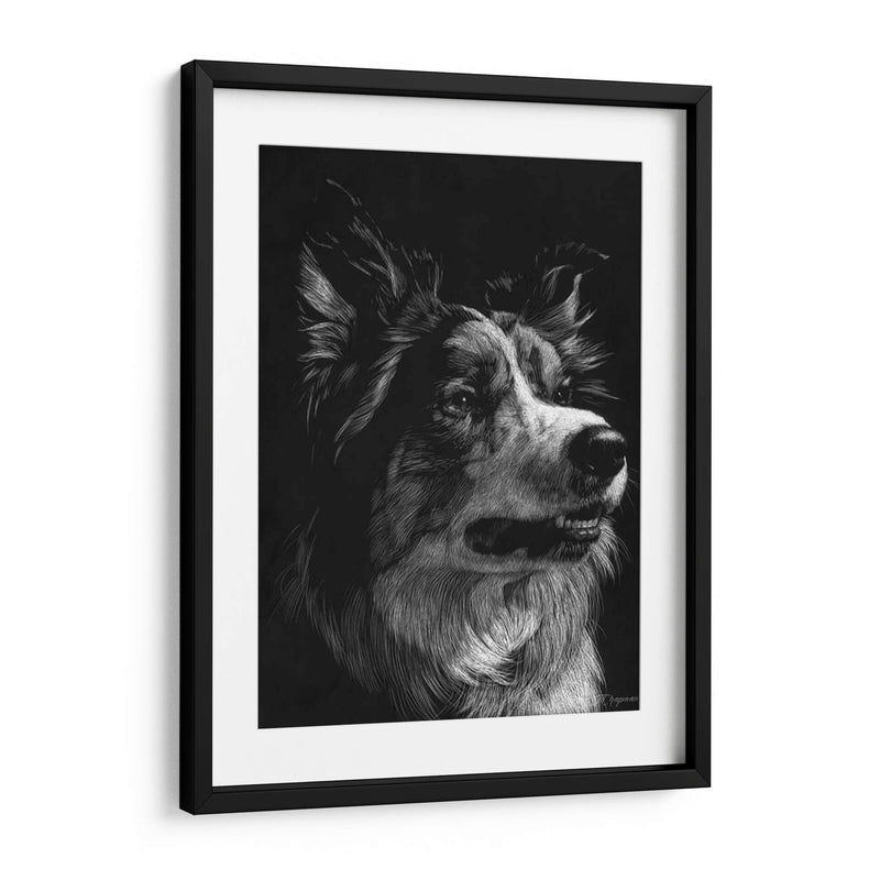 Scratchboard Canino Iv - Julie T. Chapman | Cuadro decorativo de Canvas Lab