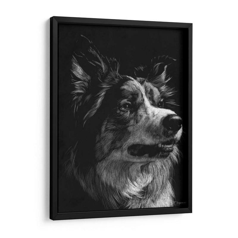 Scratchboard Canino Iv - Julie T. Chapman | Cuadro decorativo de Canvas Lab