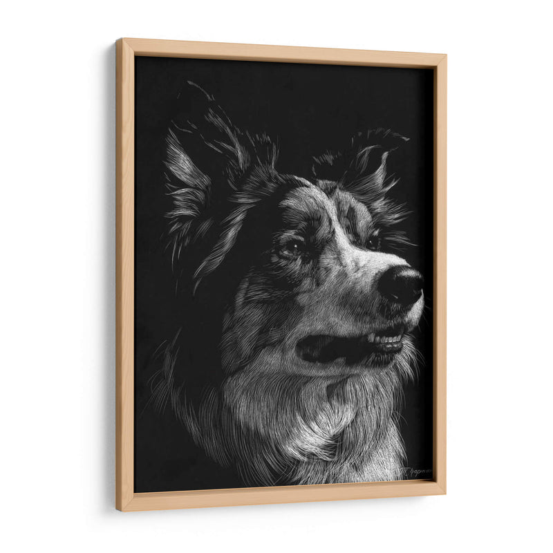 Scratchboard Canino Iv - Julie T. Chapman | Cuadro decorativo de Canvas Lab