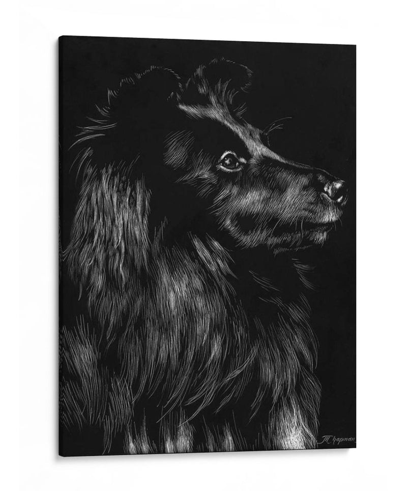 Canino Scratchboard Vi - Julie T. Chapman | Cuadro decorativo de Canvas Lab