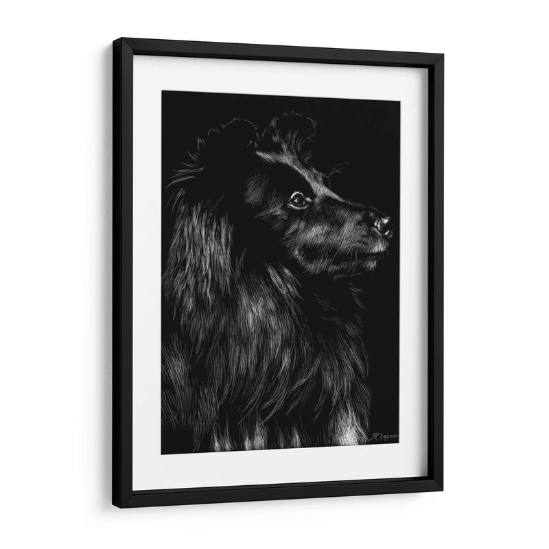 Canino Scratchboard Vi - Julie T. Chapman | Cuadro decorativo de Canvas Lab