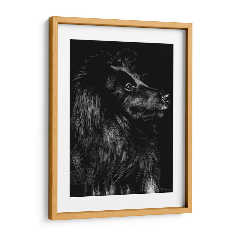 Canino Scratchboard Vi - Julie T. Chapman | Cuadro decorativo de Canvas Lab