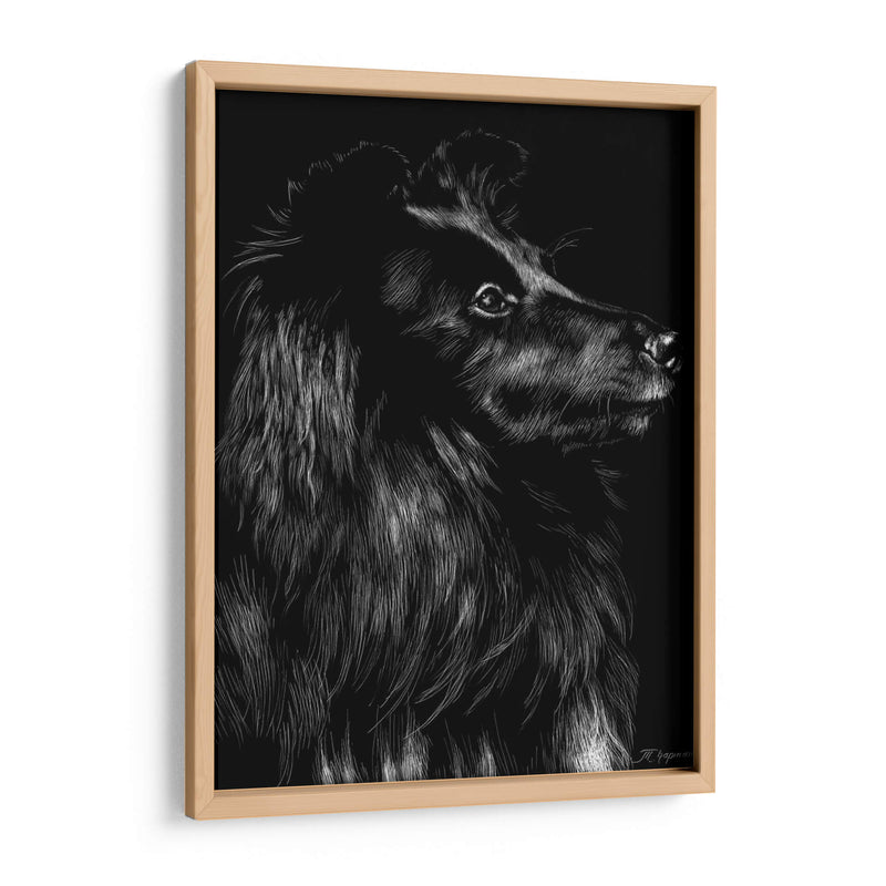 Canino Scratchboard Vi - Julie T. Chapman | Cuadro decorativo de Canvas Lab