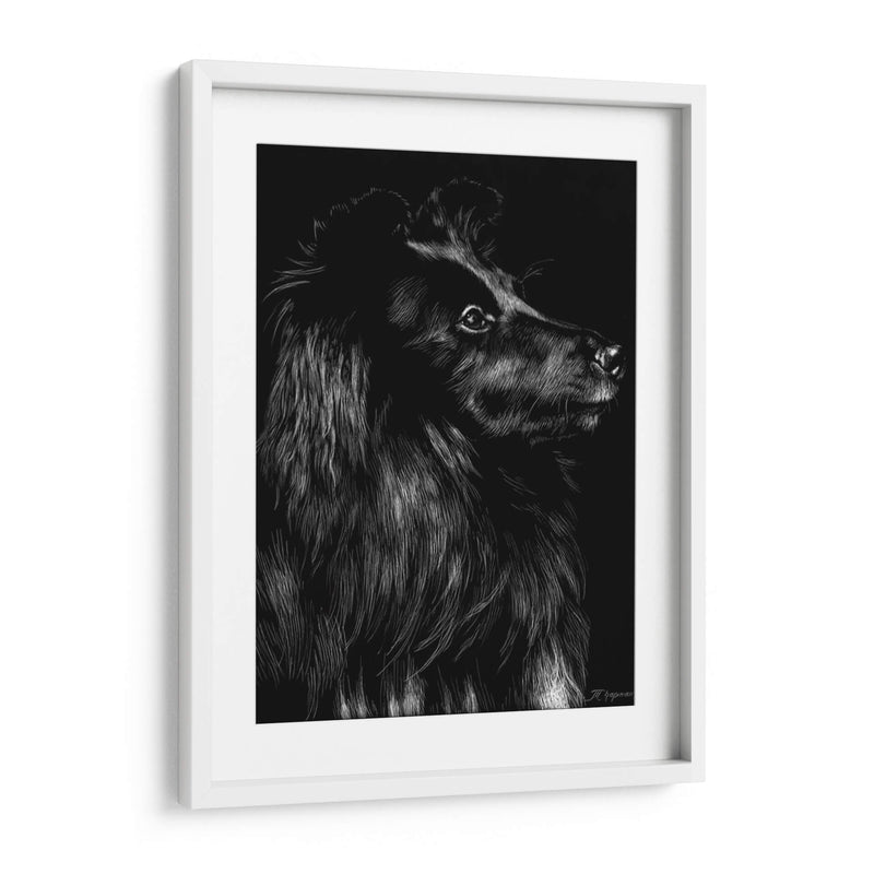 Canino Scratchboard Vi - Julie T. Chapman | Cuadro decorativo de Canvas Lab