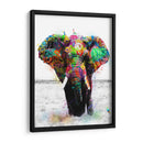 Elefante Graffiti - David Aste | Cuadro decorativo de Canvas Lab