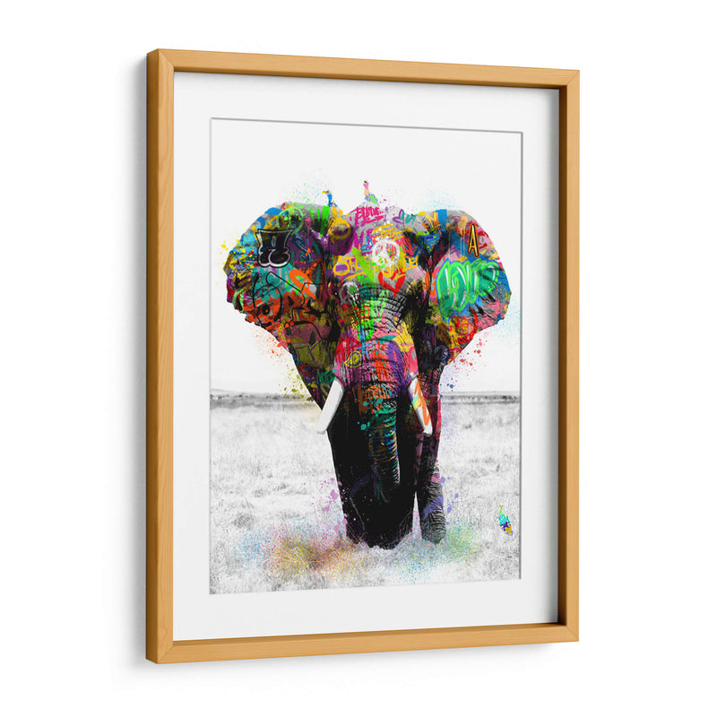 Elefante Graffiti - David Aste | Cuadro decorativo de Canvas Lab