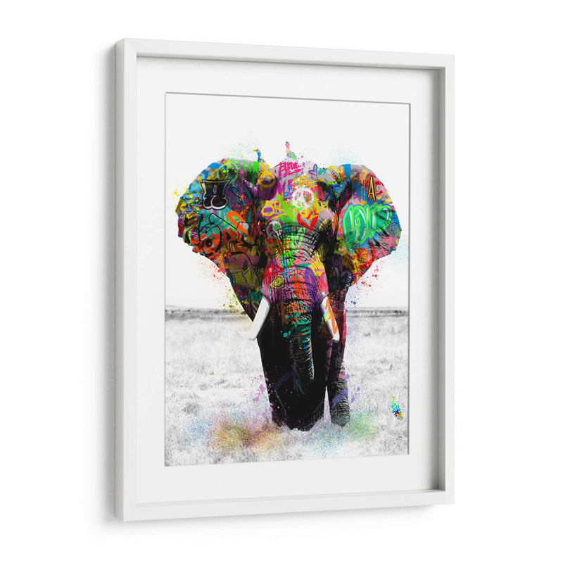 Elefante Graffiti - David Aste | Cuadro decorativo de Canvas Lab