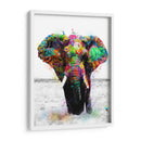 Elefante Graffiti - David Aste | Cuadro decorativo de Canvas Lab