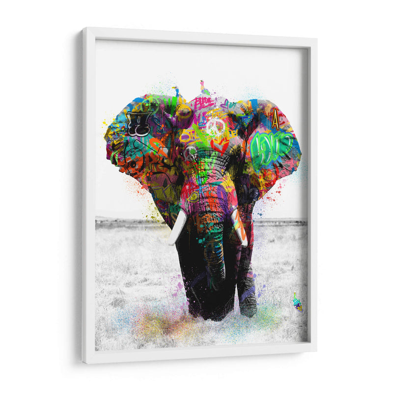 Elefante Graffiti - David Aste | Cuadro decorativo de Canvas Lab