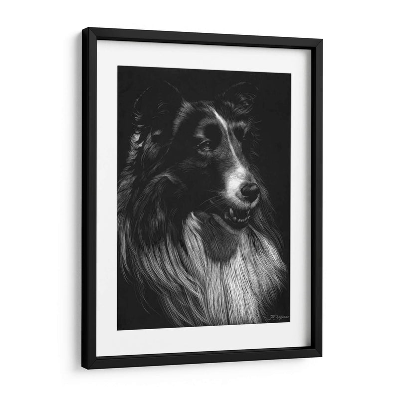 Canino Scratchboard Vii - Julie T. Chapman | Cuadro decorativo de Canvas Lab