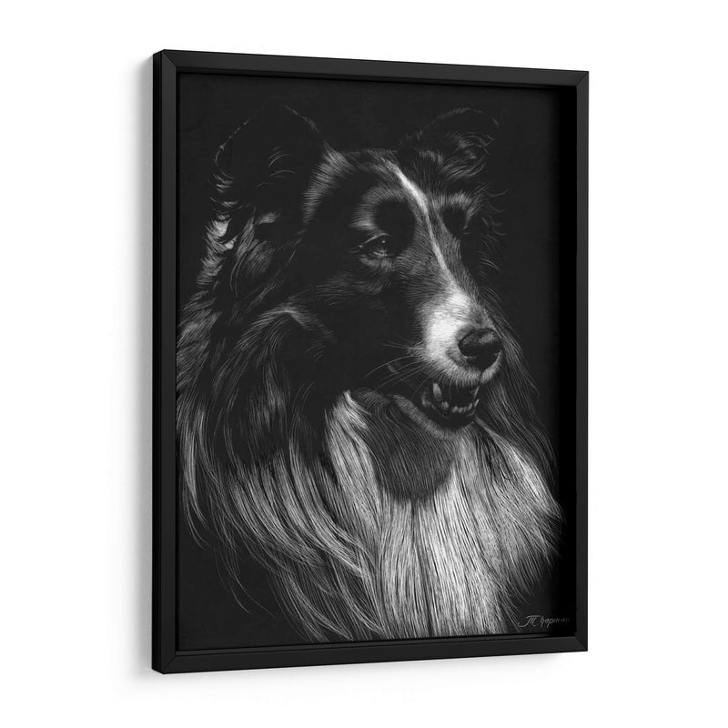 Canino Scratchboard Vii - Julie T. Chapman | Cuadro decorativo de Canvas Lab