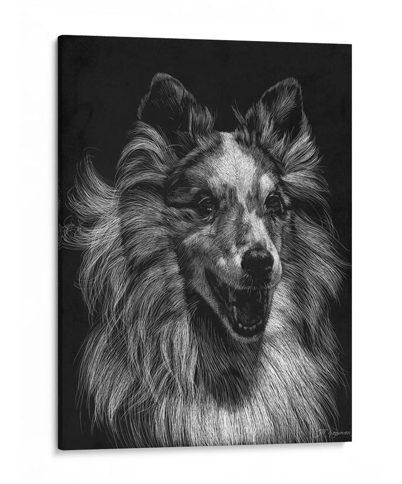 Canino Scratchboard Viii - Julie T. Chapman | Cuadro decorativo de Canvas Lab